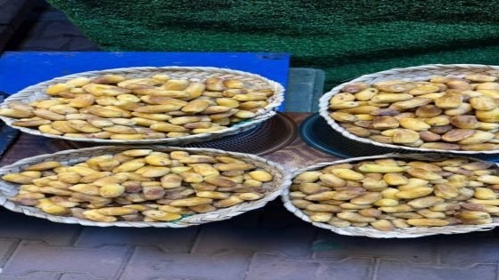 انطلاق موسم الرطب في البصرة، حيث بدأت أولى الكميات بالوصول إلى الأسواق المحلية مع تسجيل أسعار بلغت نحو 25 ألف دينار للكيلوغرام الواحد.