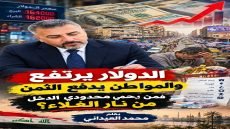 الدولار يرتفع والمواطن يدفع الثمن فمن يحمي محدودي الدخل من نار الغلاء