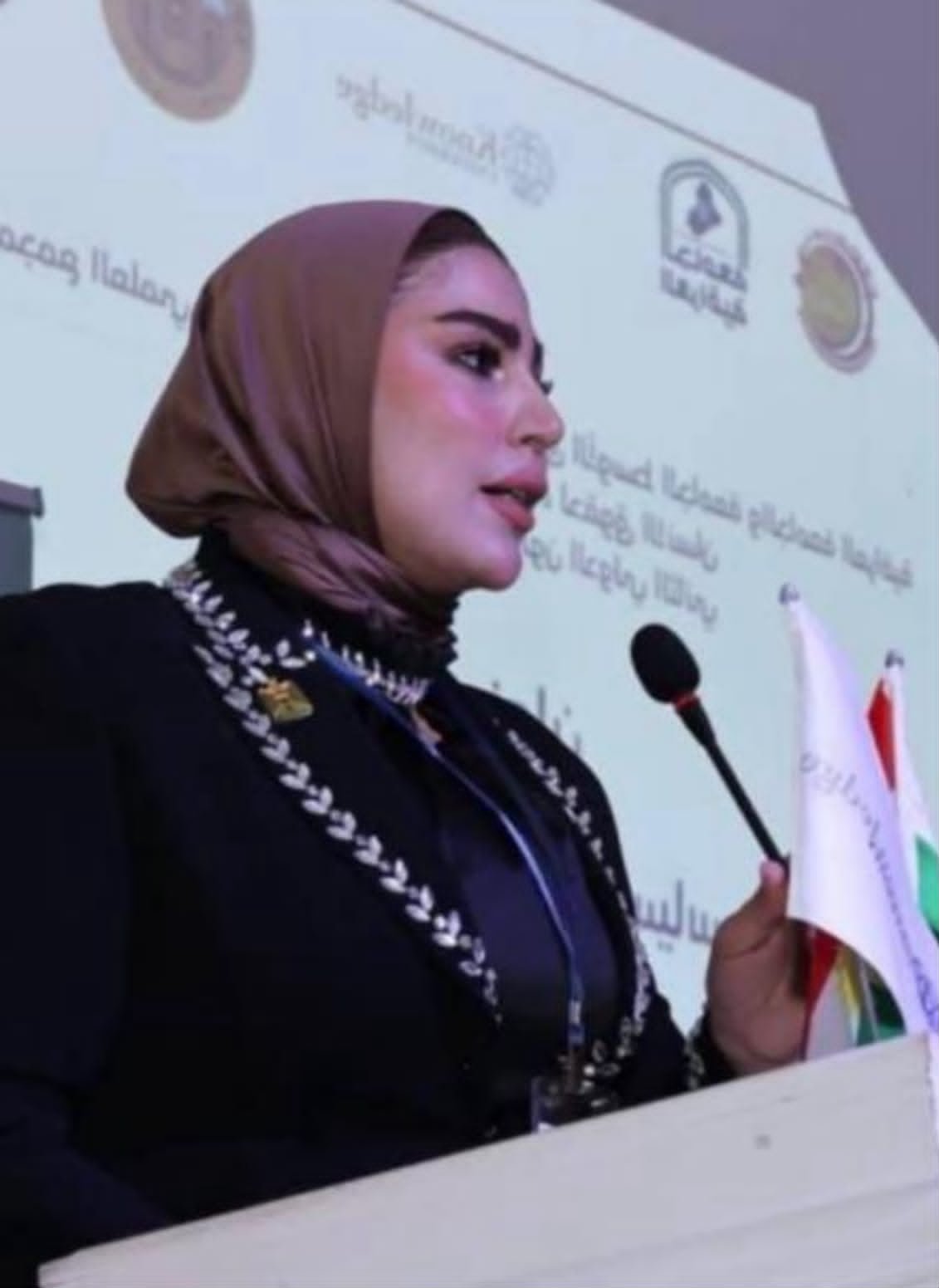 *دولة القانون في العراق.. من النظرية السياسية إلى اختبار الدولة والعدالة*